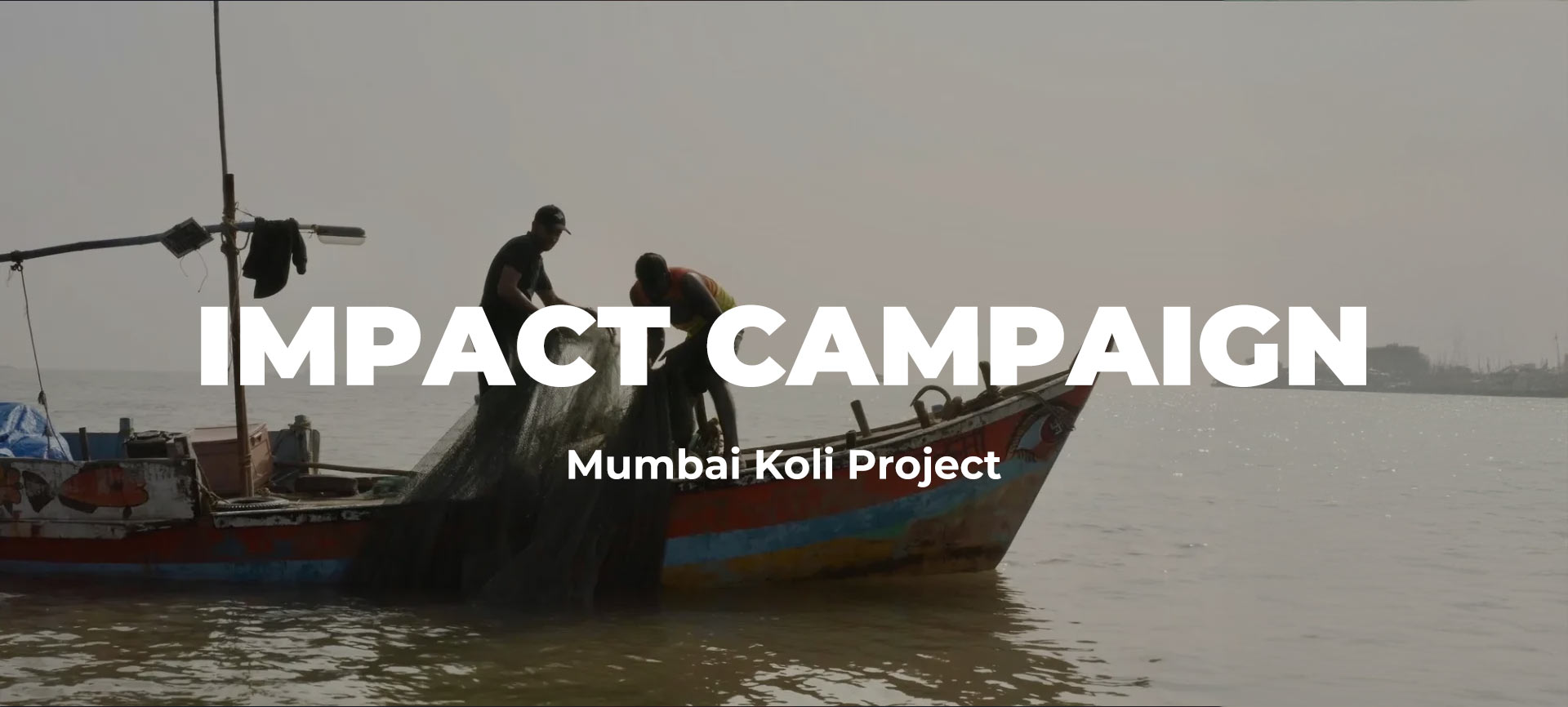 impact-campaign